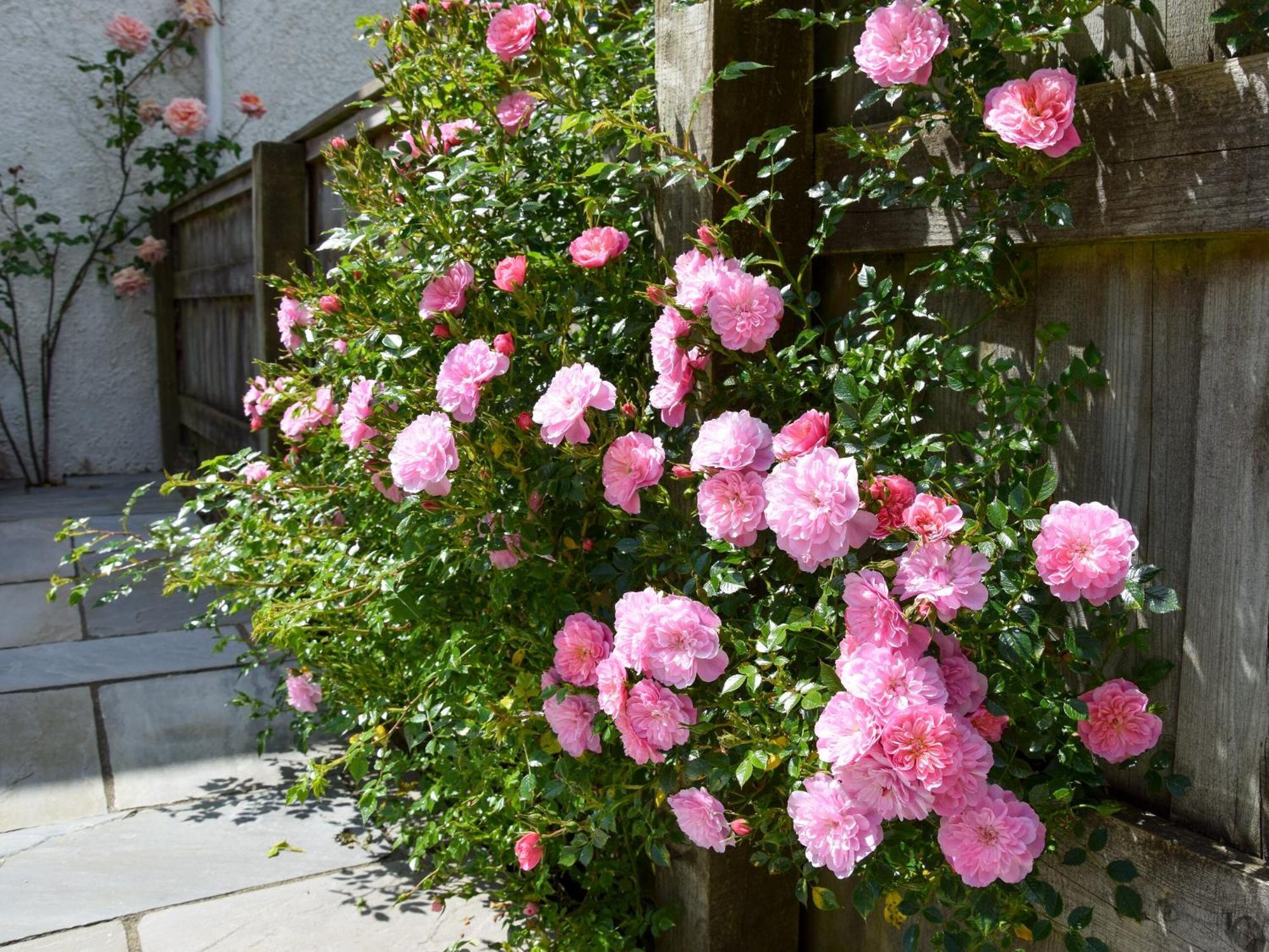 Sweet Briar - 8234 Villa Bridport Buitenkant foto